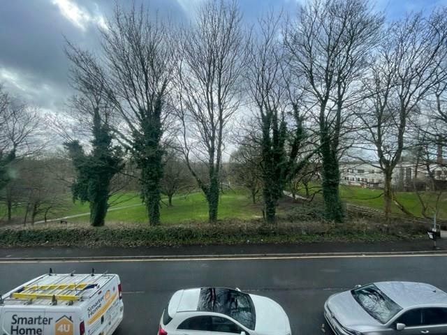 Window View.jpg