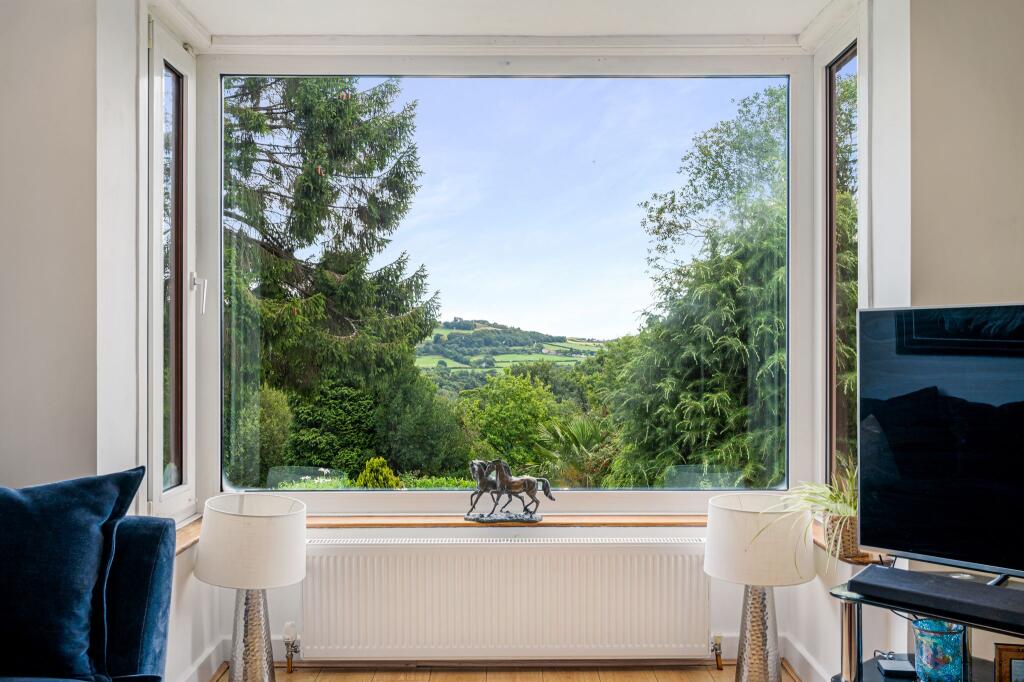 View from the Lounge