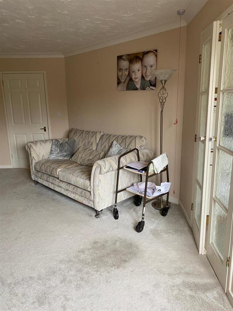 IMG-20250214-WA0008 (Large).jpg