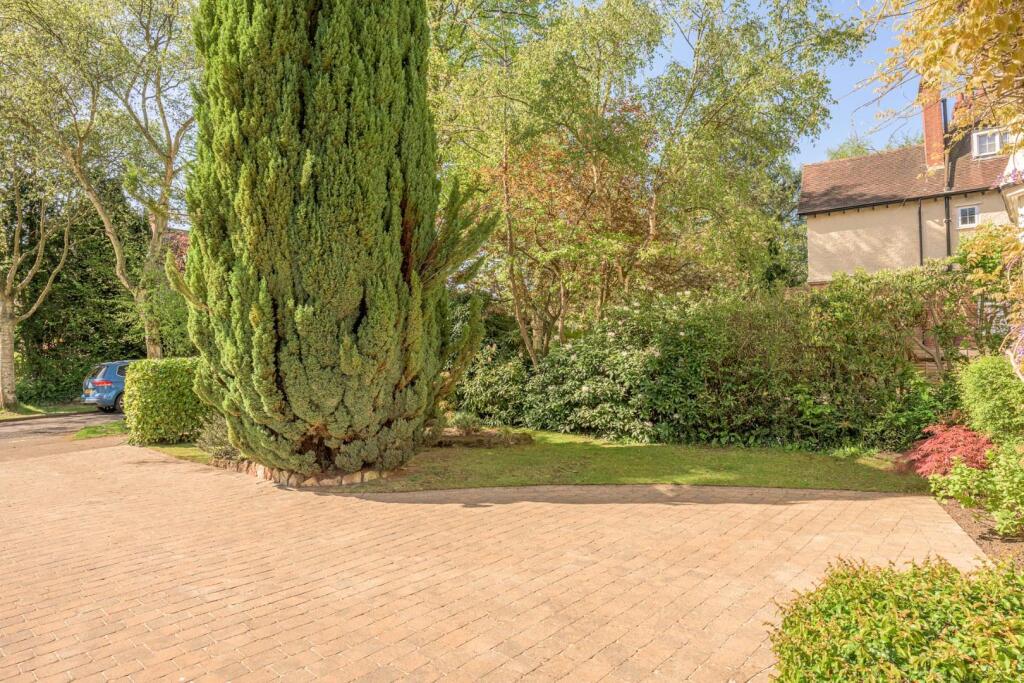Front Gardens and Driveway