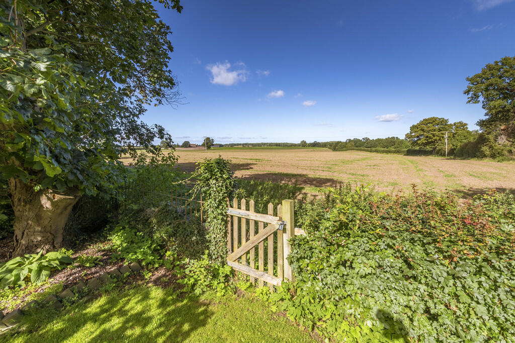 Countryside Views...