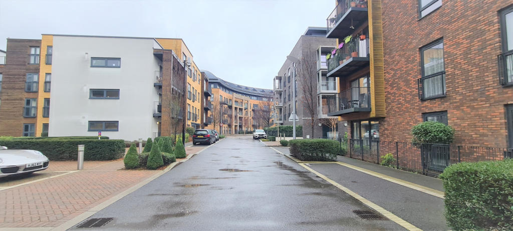 SURROUNDING AREA