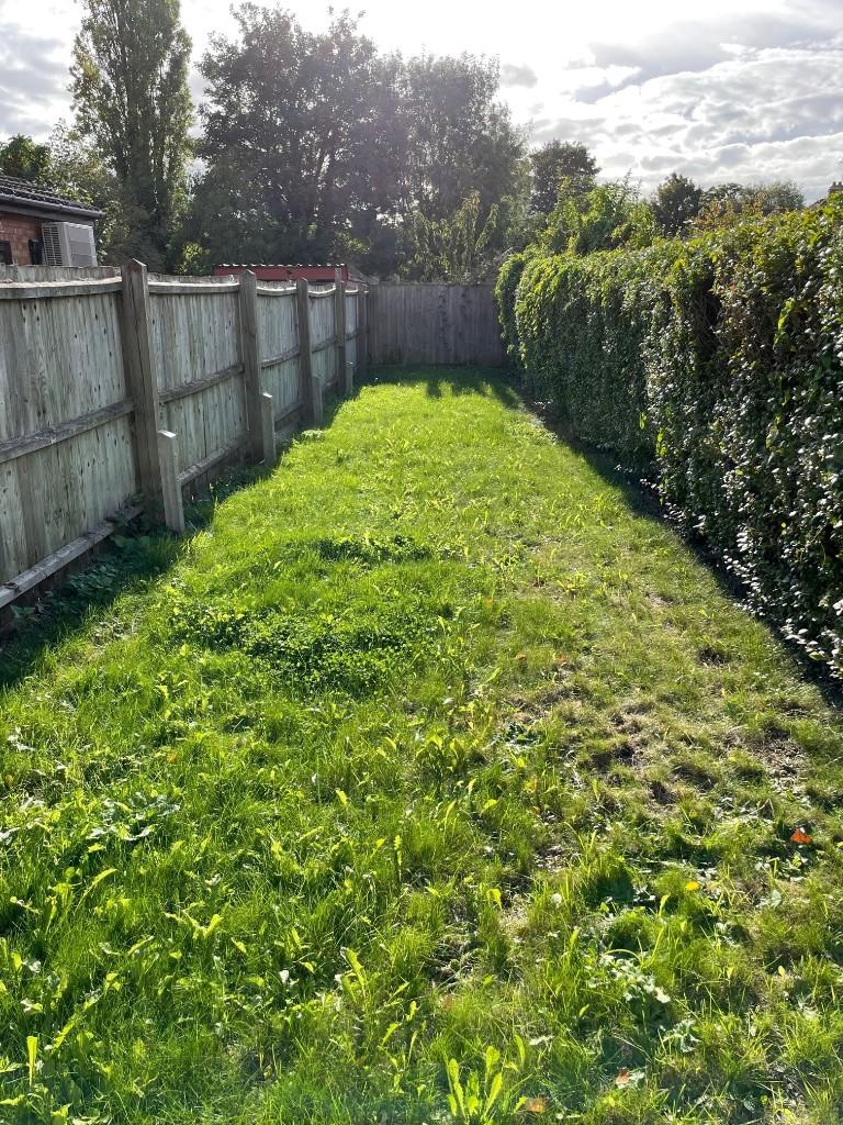 Rear Garden II