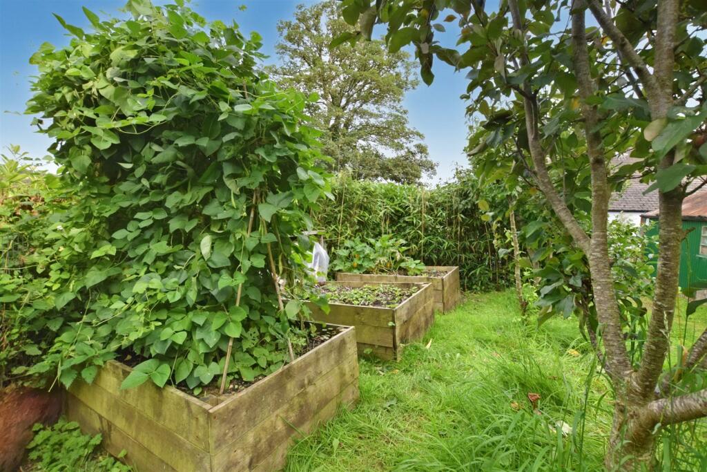 Vegetable Patch