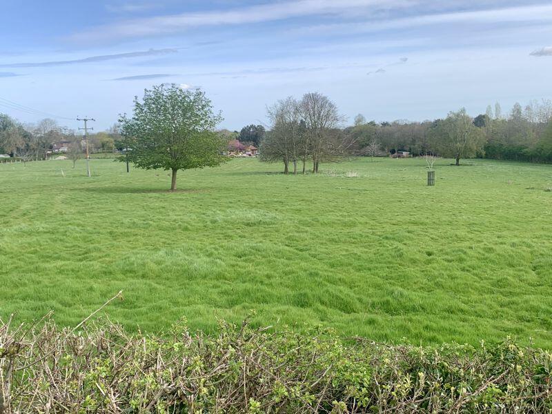 The view from the front