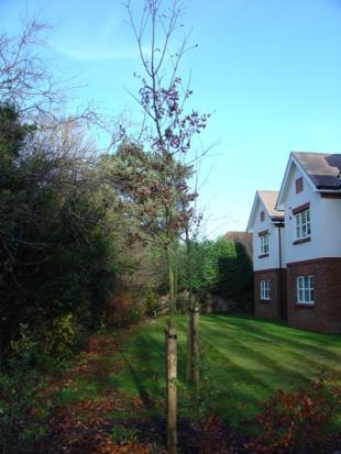Communal grounds