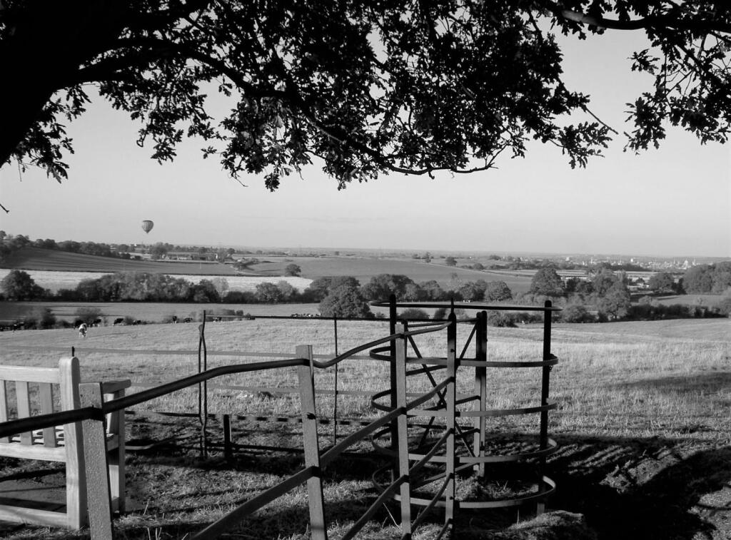cityviewlife - MONO.jpg
