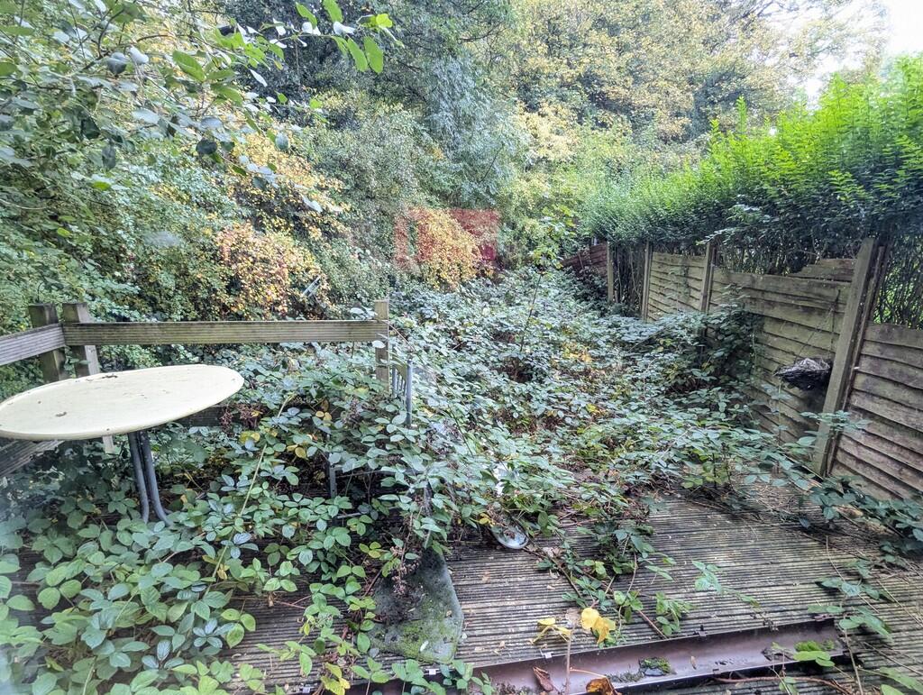 PXL_20251015_0908...