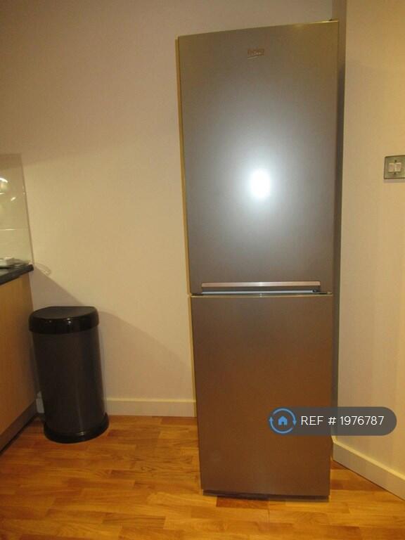 Large Fridge And Frost-Free Freezer