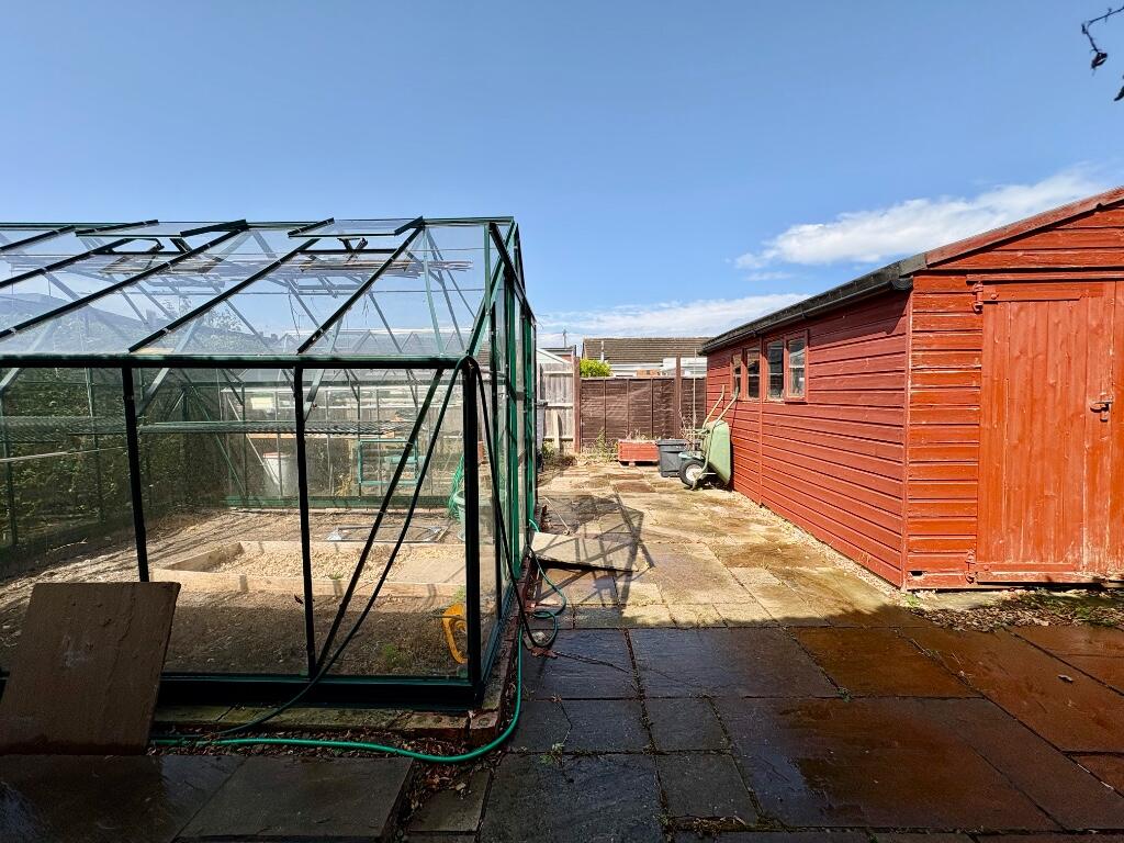 vegetable garden