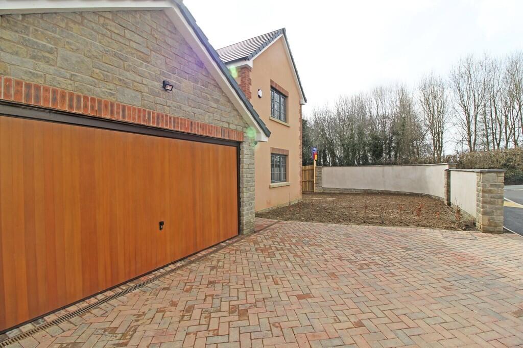 IMG_11801_20_larg...