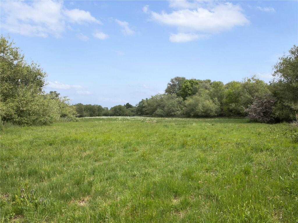 Pasture