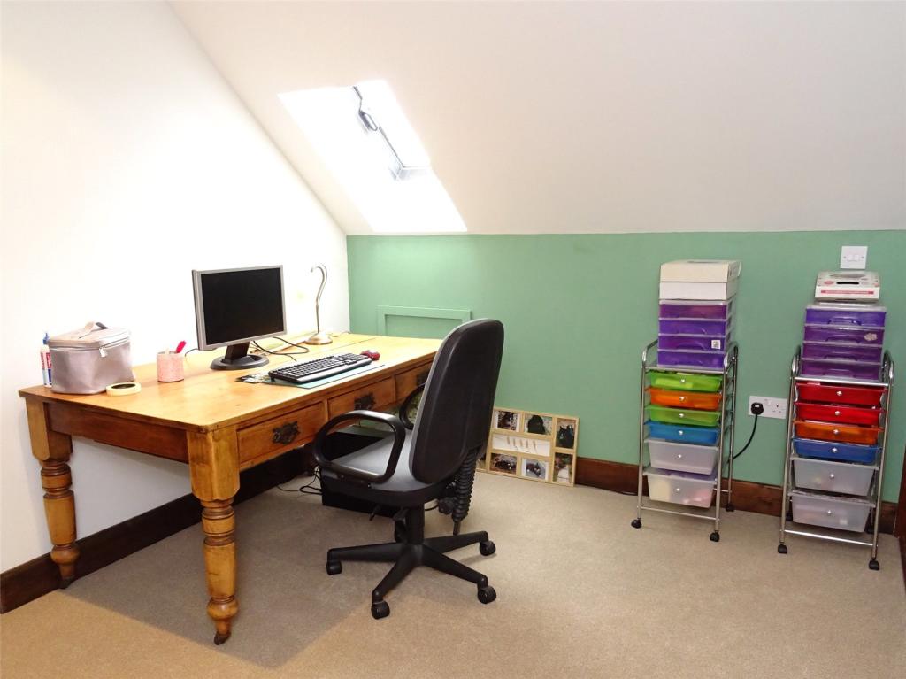 Study Area