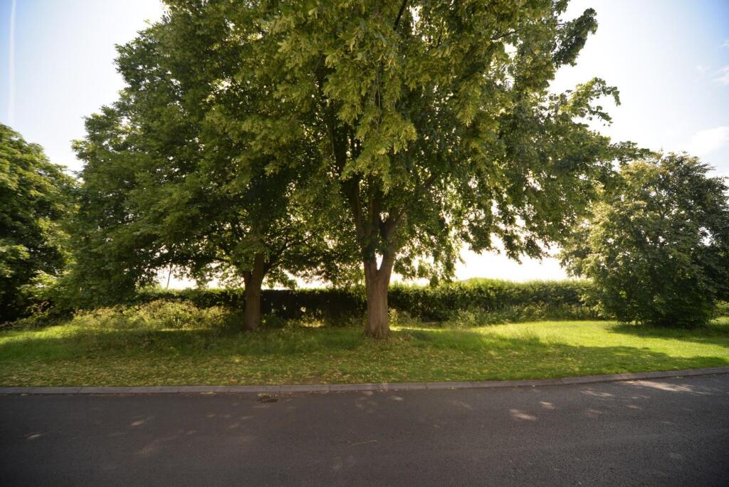 View across the road.jpg