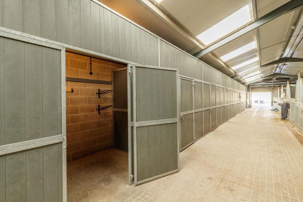 Willowsway Stud,_84-web.jpg