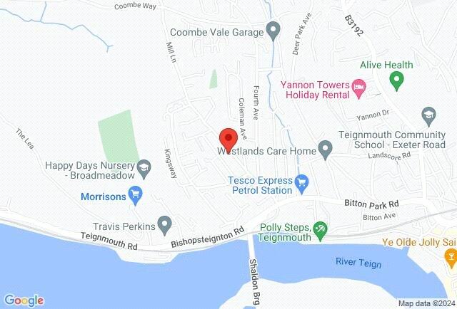 Google Maps Image