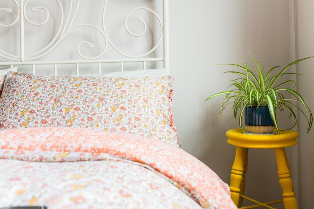 Call 02920 454555 to secure your viewing_13