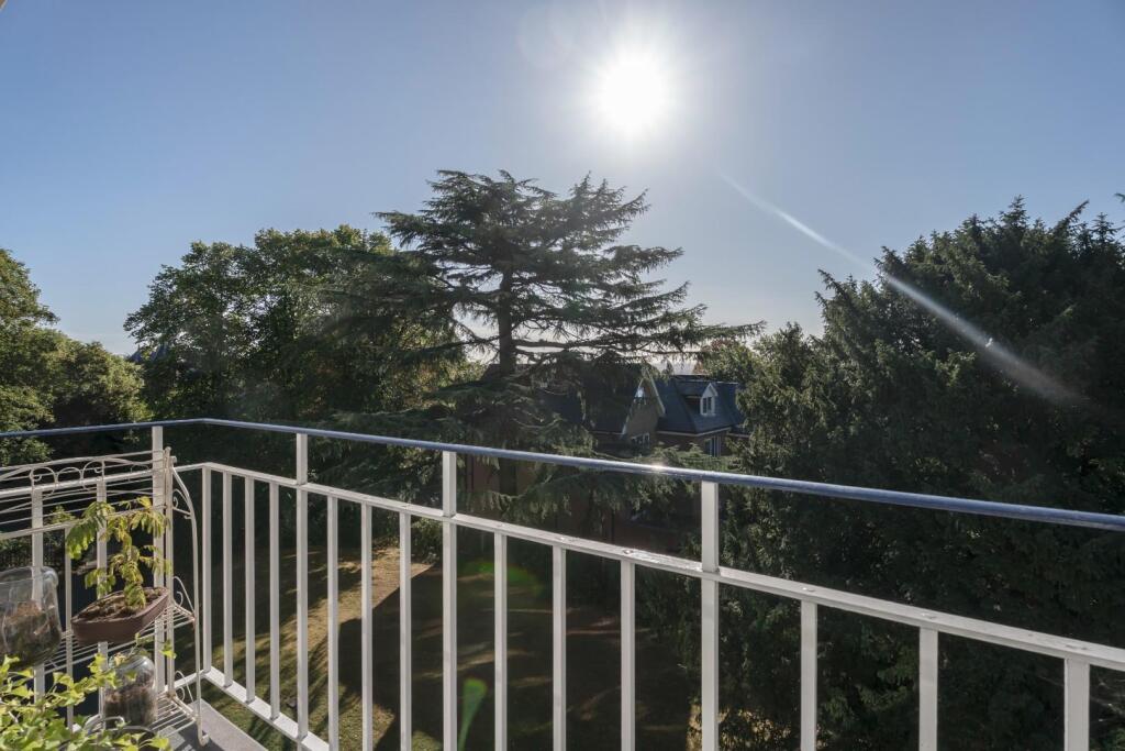 DSC02630-Edit copy.jpg