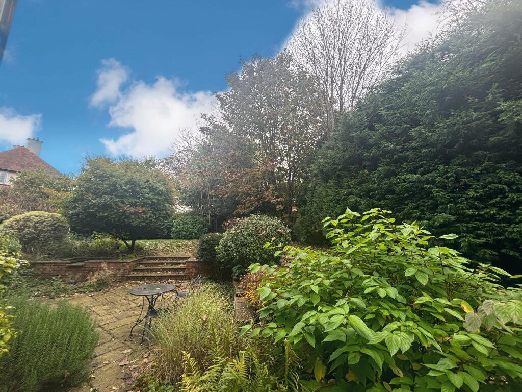 Garden 2.jpeg
