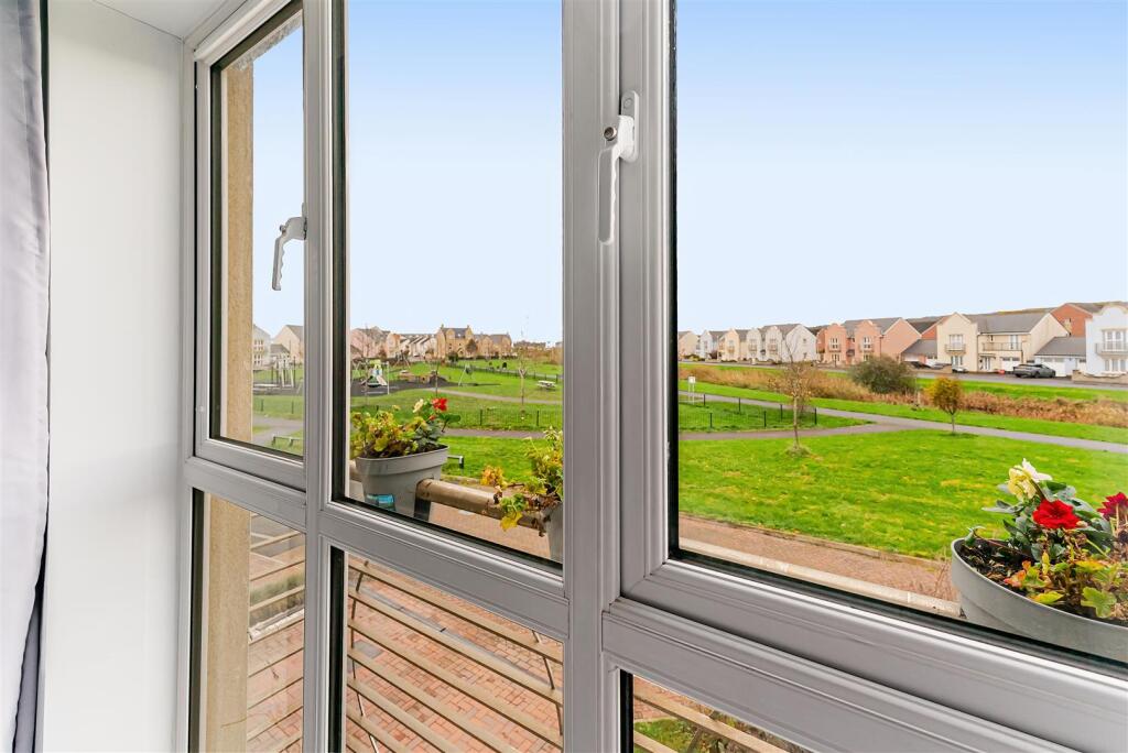 View from Window