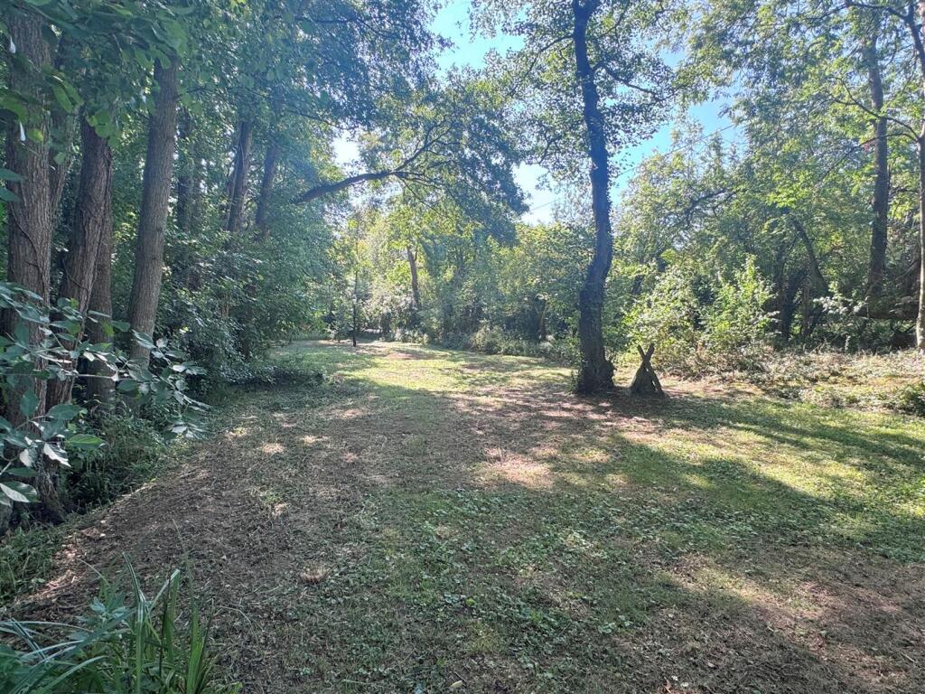 Woodland 5.JPG