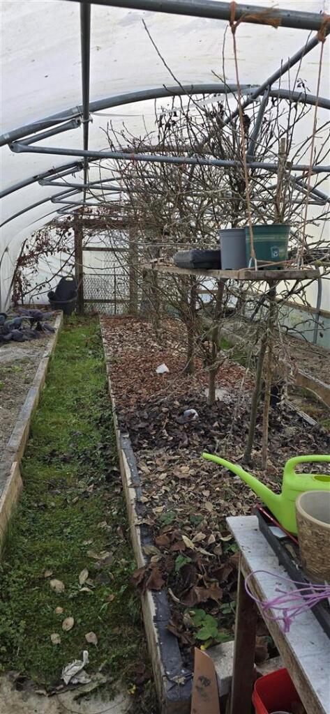 POLYTUNNEL