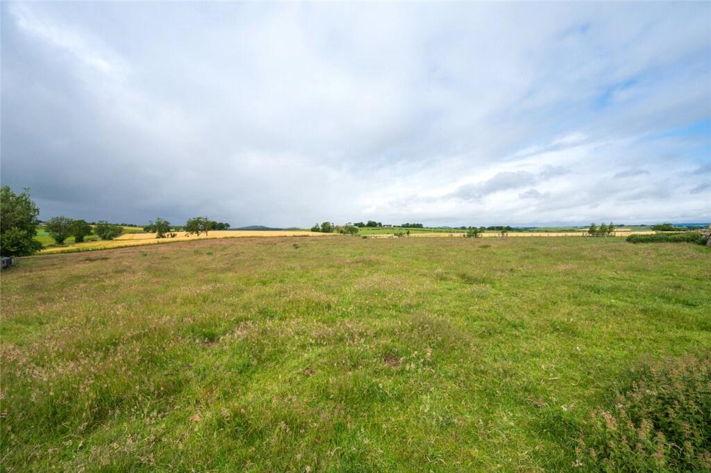 Field