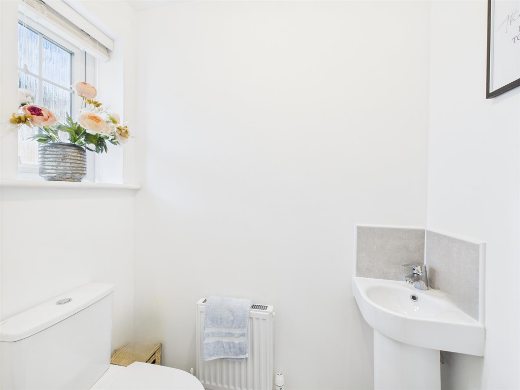 user_edited_photo-09bd457a_user-edited-fafcf107-b4