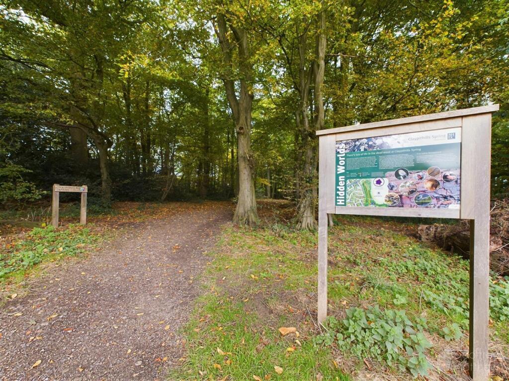 Serpentine Park 2.jpg