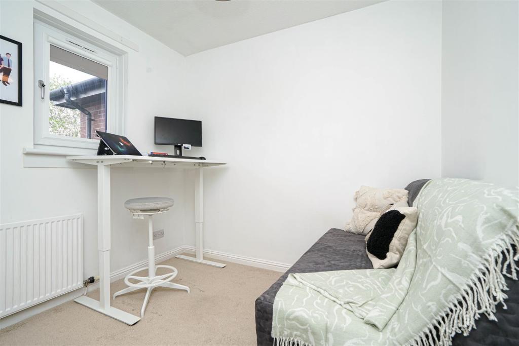 e1.jpg