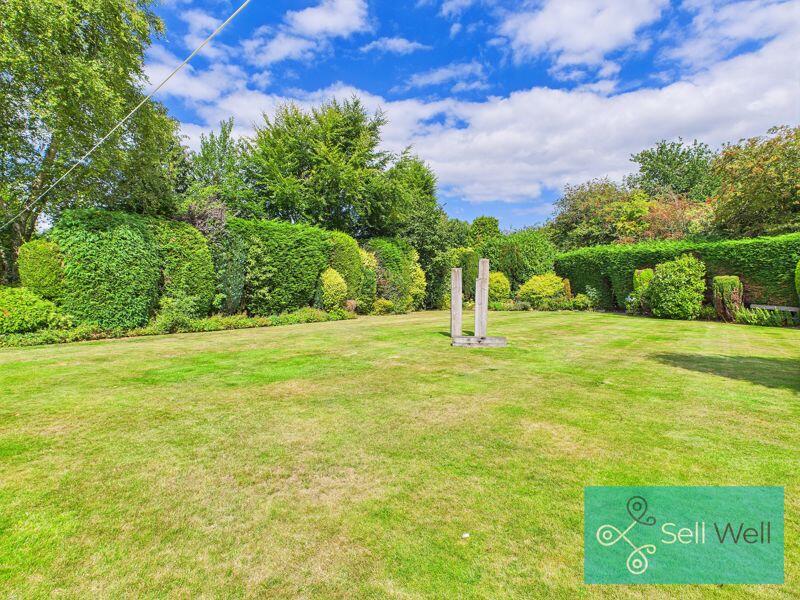 Back garden