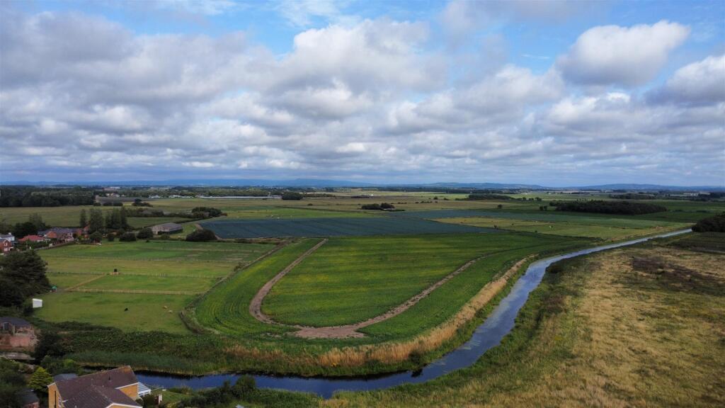 The Crescent Rear Garden