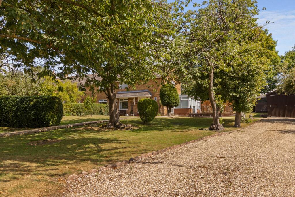 Front &amp; Driveway