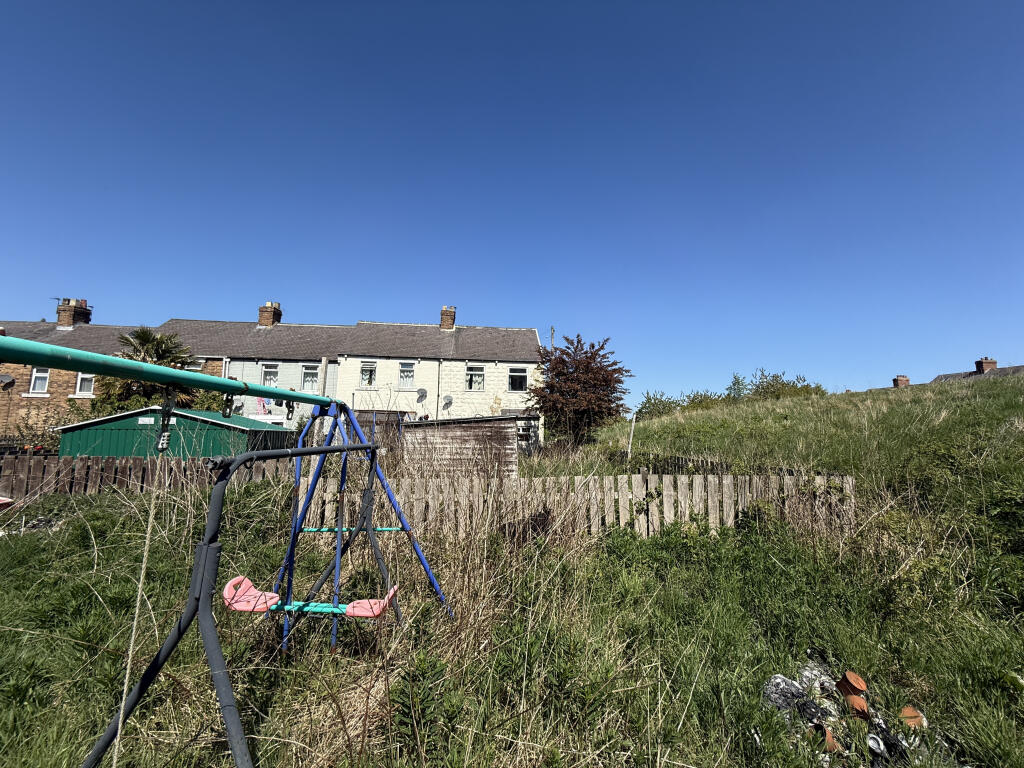 IMG 7718 T202505131147.jpg