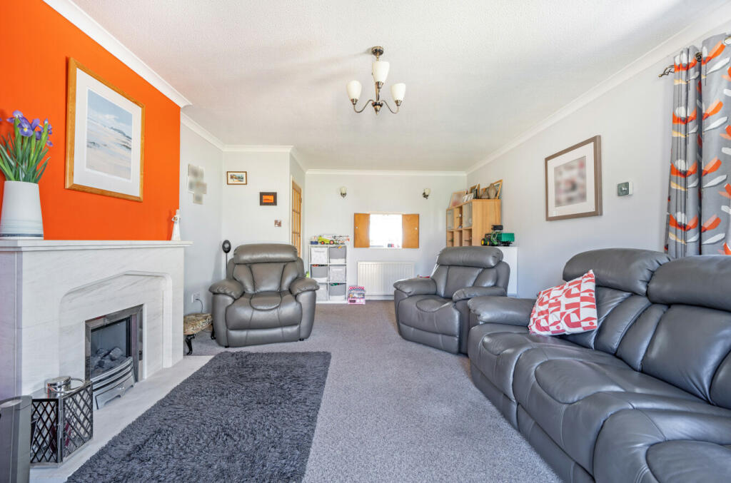 1146634 (2).jpg