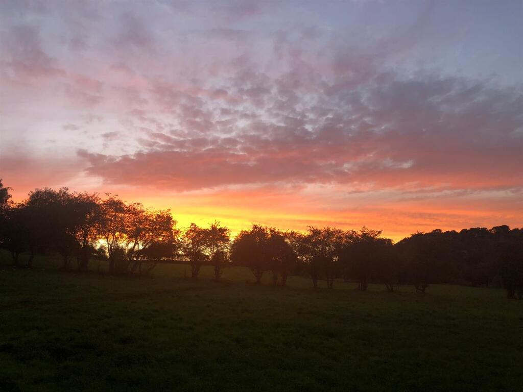 Saxton Mee Flora Dene 0108.jpg