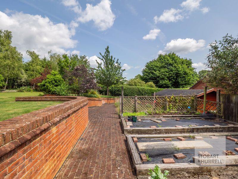Vegetable Plot