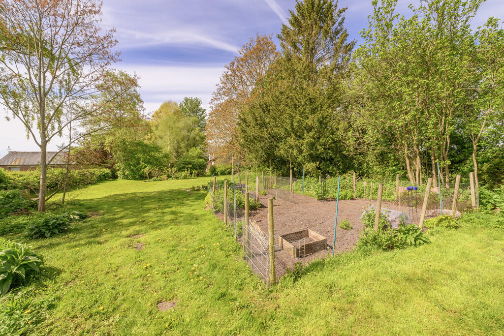Garden 5