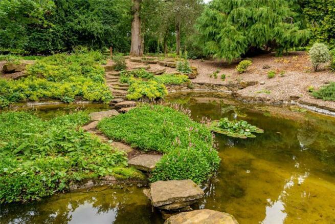 pond.jpeg