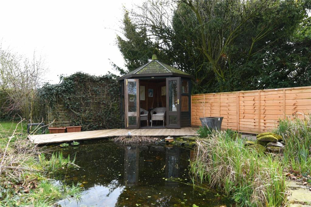 Pond