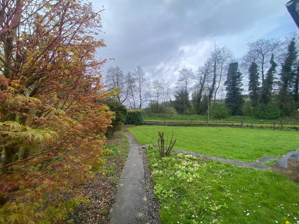 front garden new.jpg