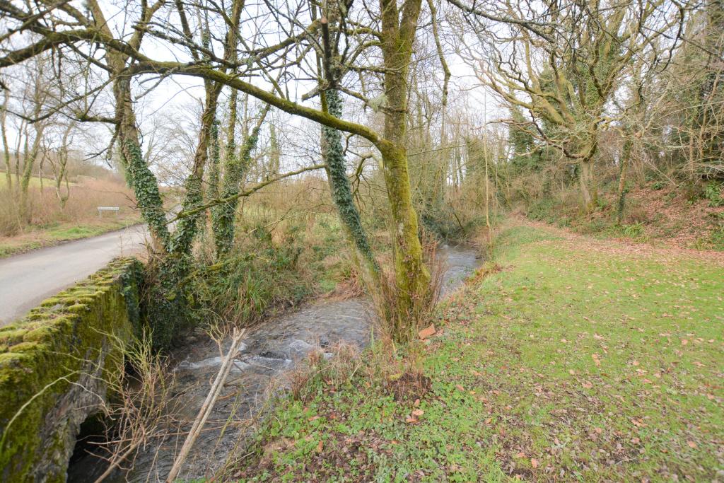 Exmoor Seddons