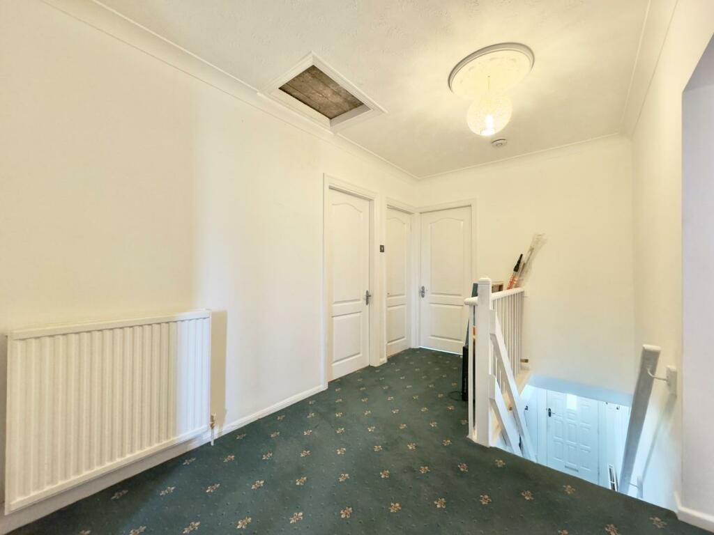 IMG_3932.jpg