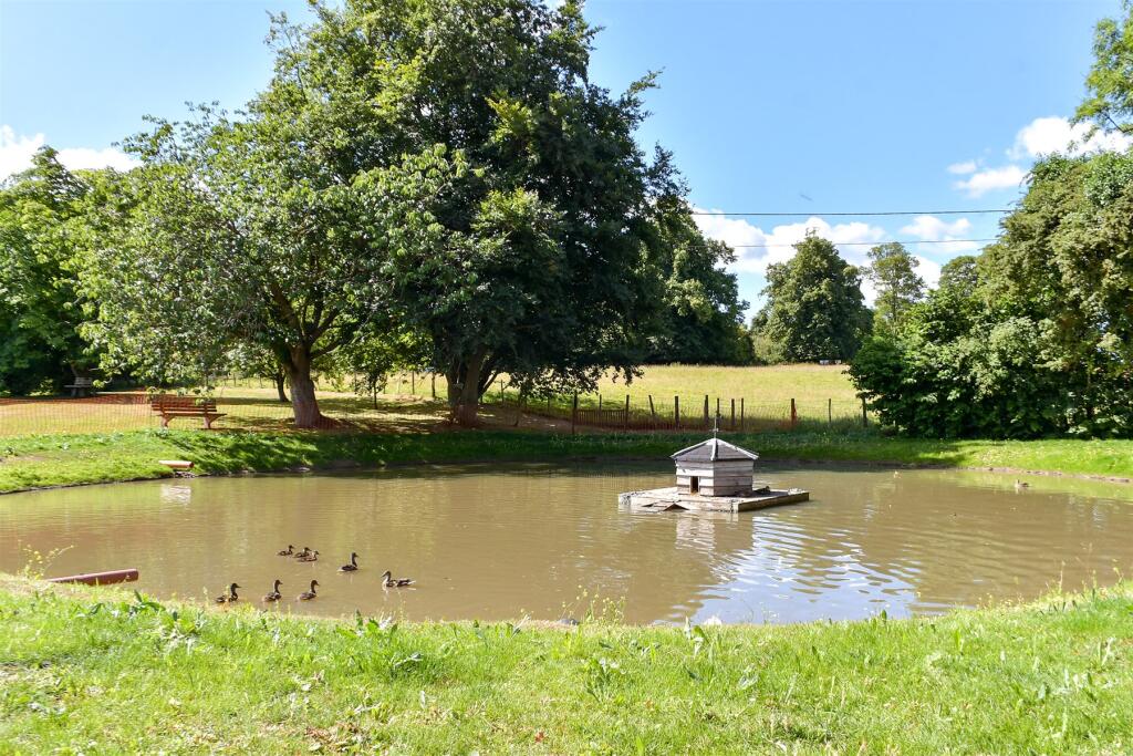 Surrounding Area