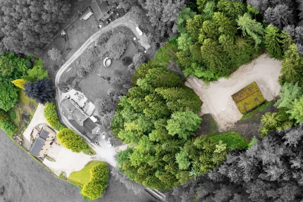 Garden extended-11.jpg