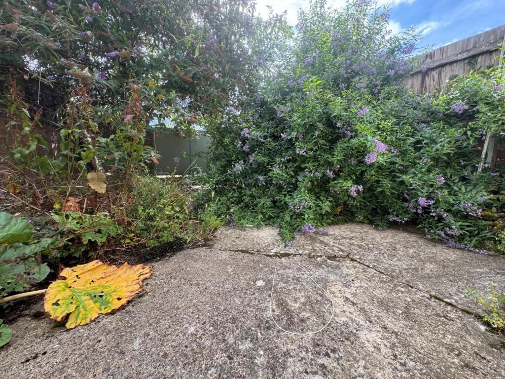 garden.jpg