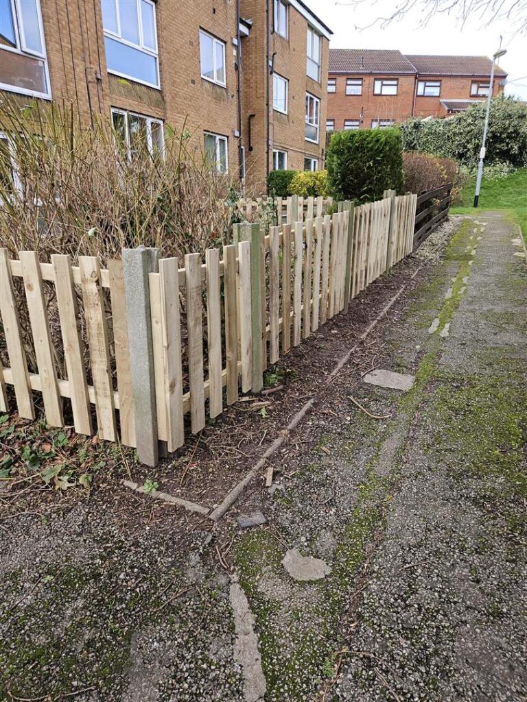 Garden (2).JPG