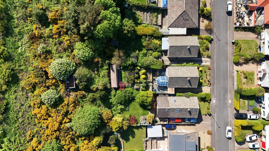 DJI_20250512151840_0175_D.JPG