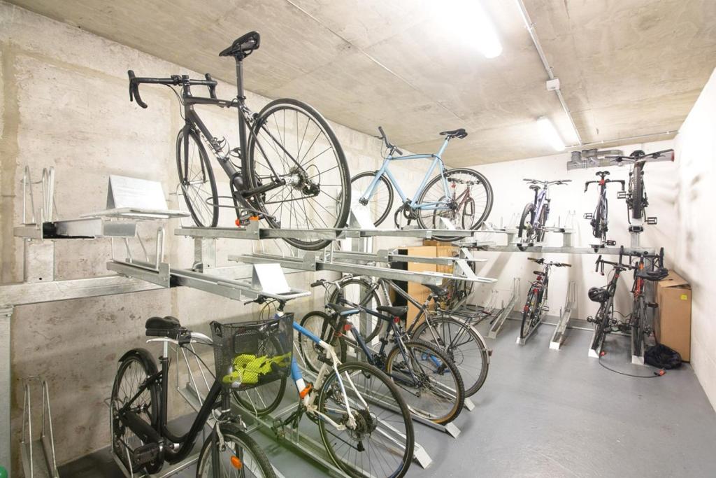 Bicycle Store