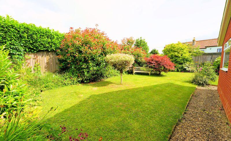 Established garden